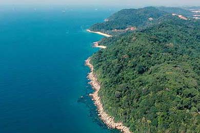 2026夢(mèng)幻西游最新搬磚攻略，零氪黨到進(jìn)階黨的全維度指南