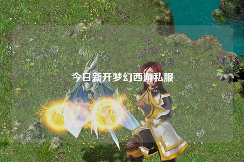 今日新開夢(mèng)幻西游私服