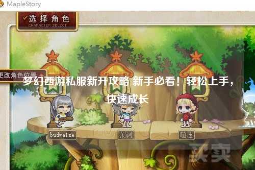夢幻西游私服新開攻略 新手必看！輕松上手，快速成長